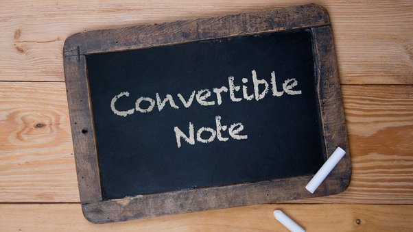 Convertible Note Purchase Agreements