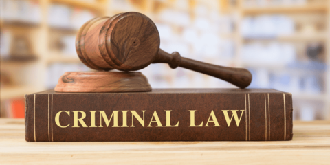Basics of Criminal Law: Restraint and Punishment