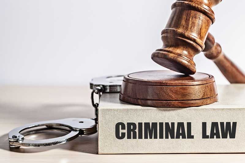 Basics of Criminal Law: Criminal Trial