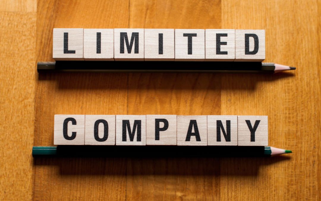  Limited Company Structure