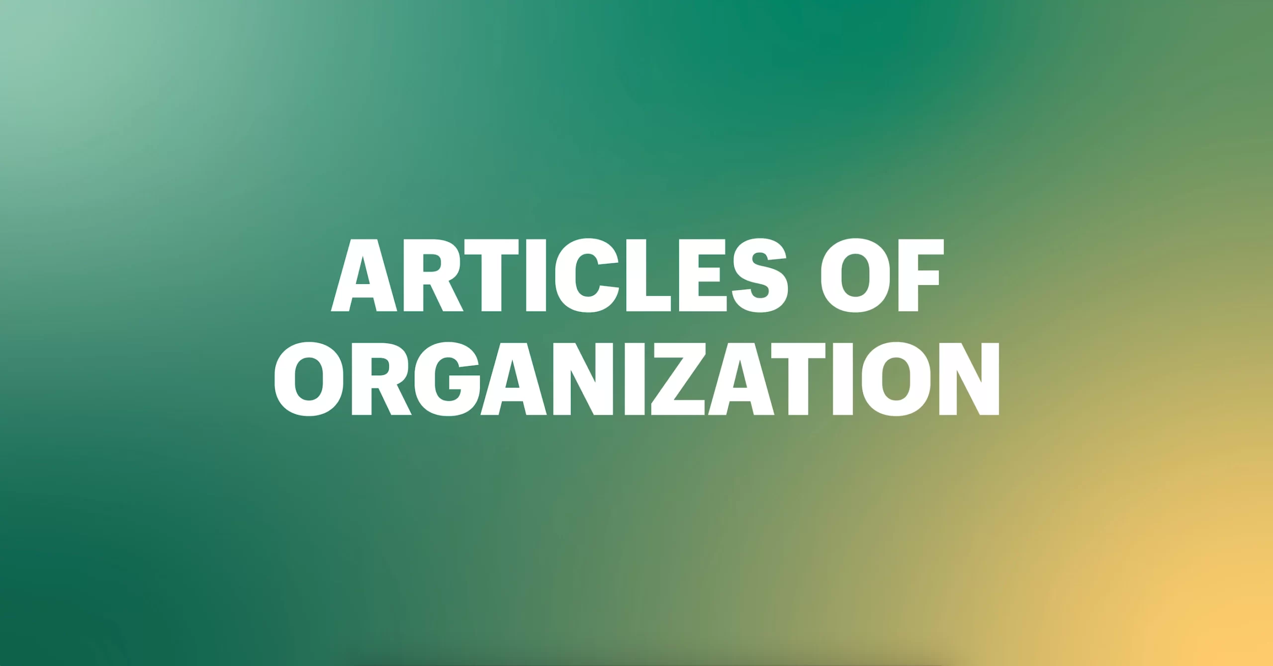 Organization's Llc Articles