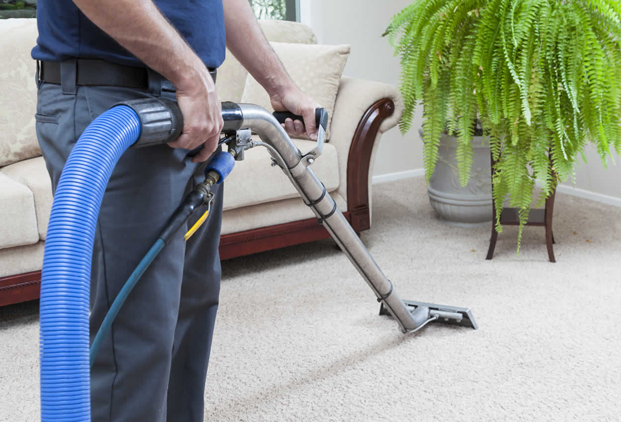  Carpet And Upholstery Cleaning
