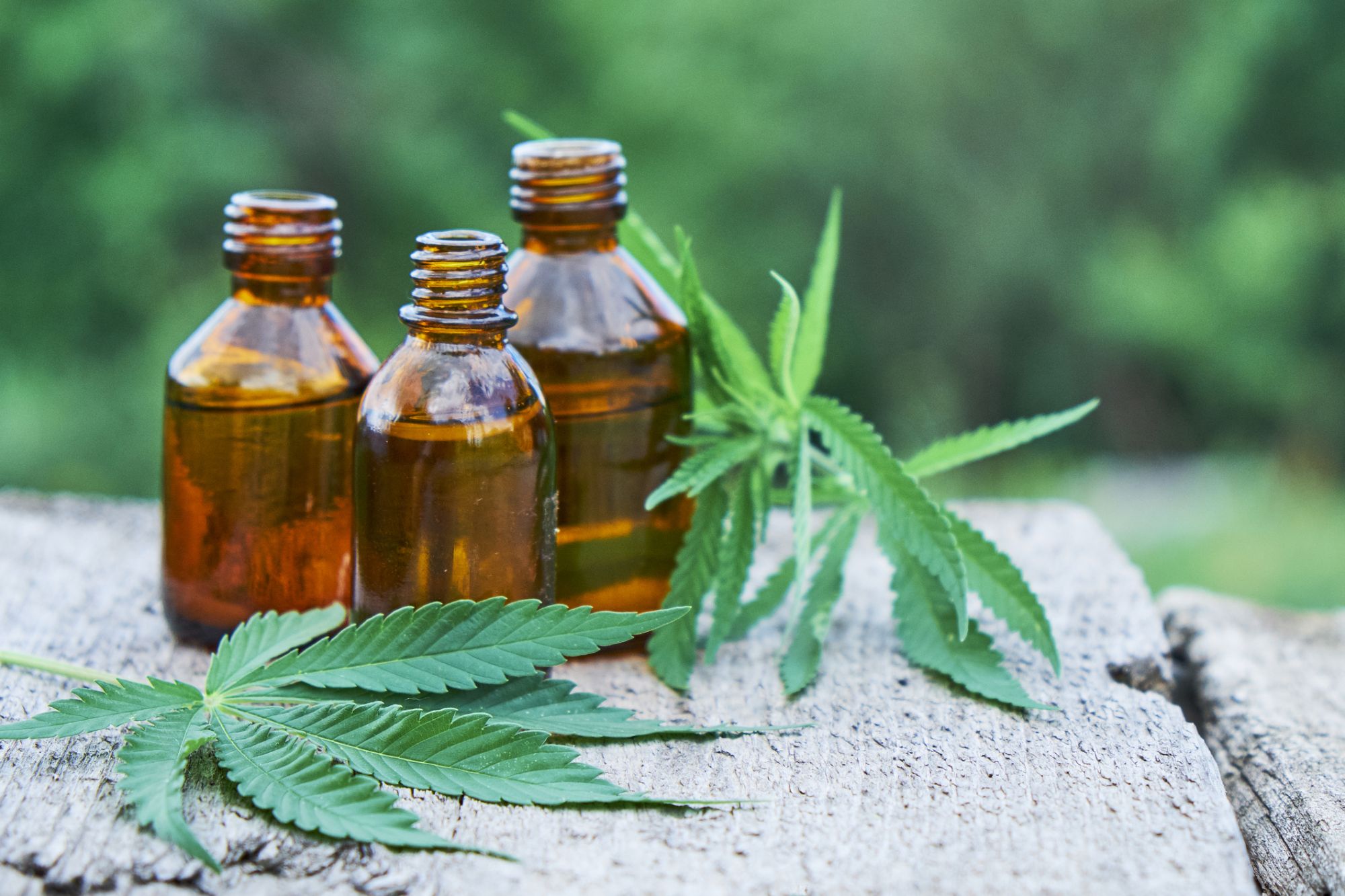 Company insurance is intended to safeguard the financial assets of a business owner and is a vital investment for a CBD oil business.