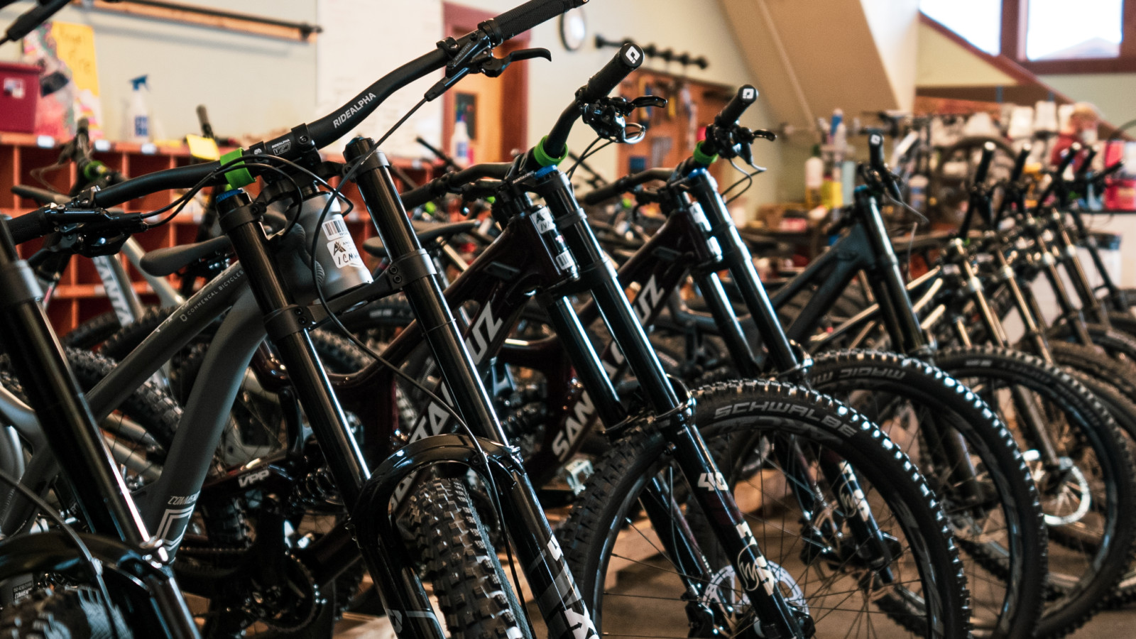 Company insurance is intended to safeguard the financial assets of a business owner and is a necessary investment for a bike rental establishment.