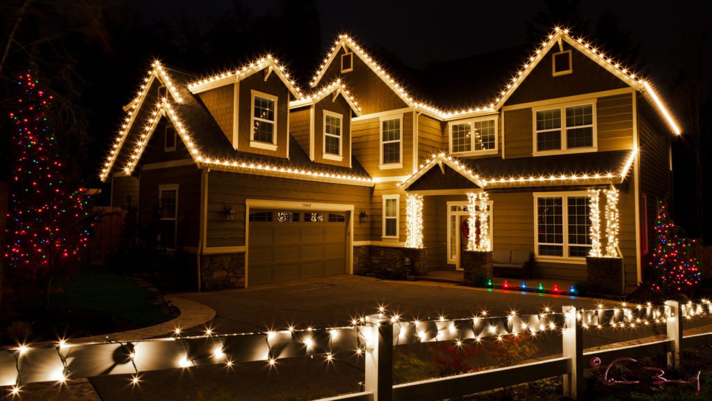 Company INSURANCE Firm insurance is intended to safeguard a business owner's financial assets and is a necessary investment for a christmas lights installation business.