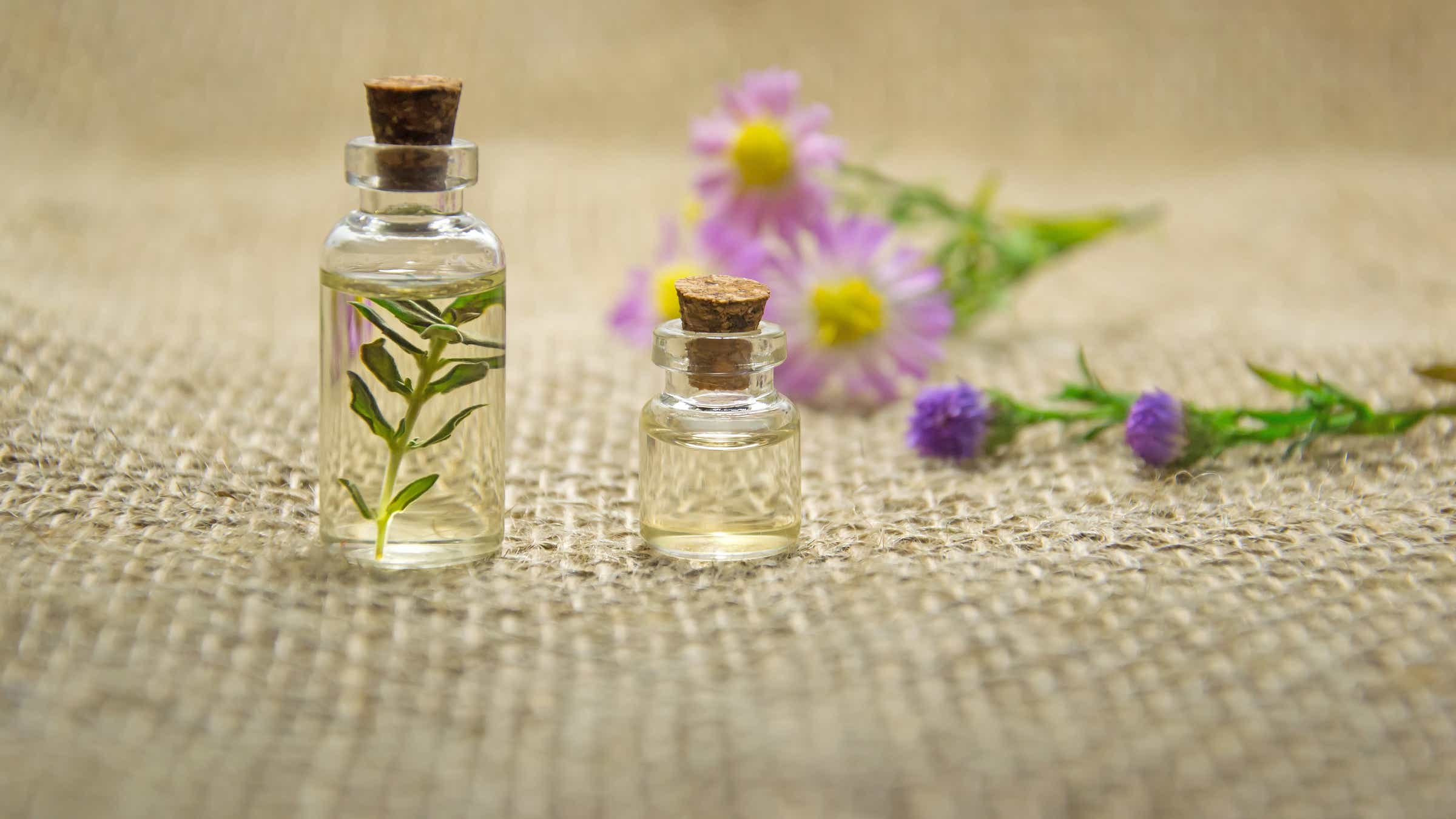 Company insurance is intended to safeguard the financial assets of a business owner and is a necessary investment for an aromatherapy business.