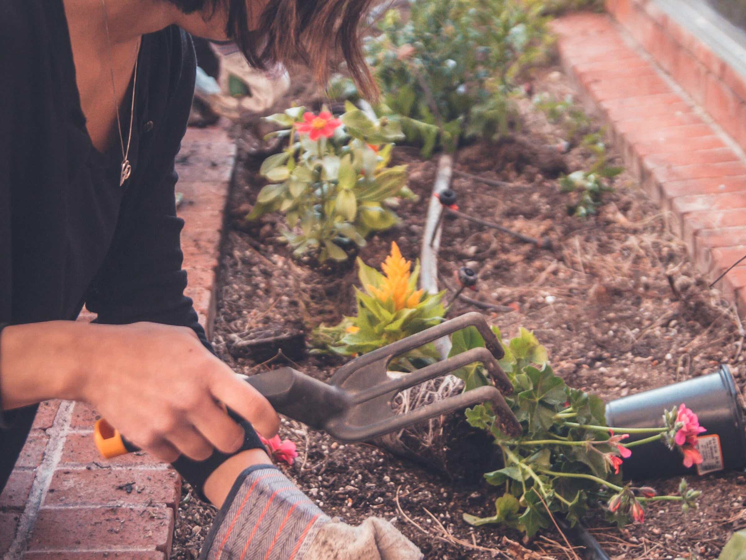 Company insurance is intended to safeguard the financial assets of a business owner and is a critical investment for a general gardening business.