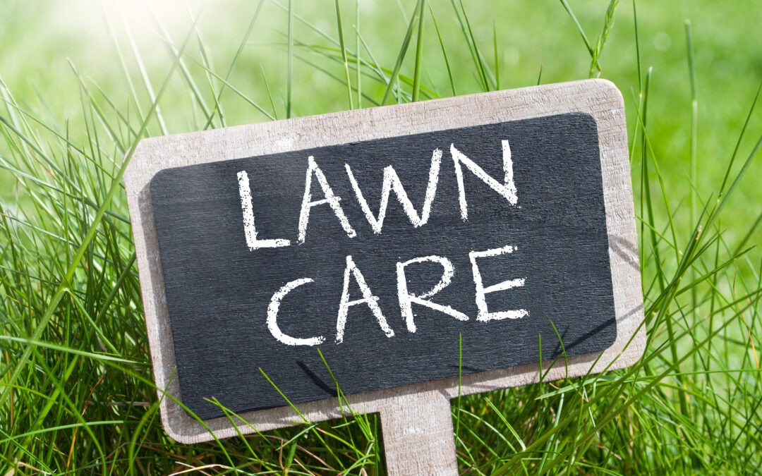 Business insurance is intended to safeguard the financial assets of a business owner and is a vital investment for a lawn care company.