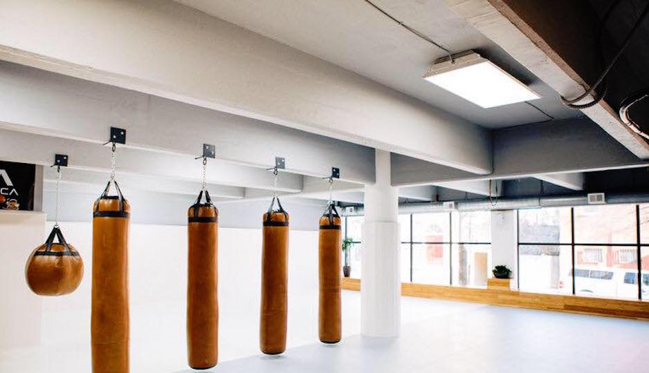 Company insurance is intended to safeguard the financial assets of a business owner and is a vital investment for a martial arts facility.
