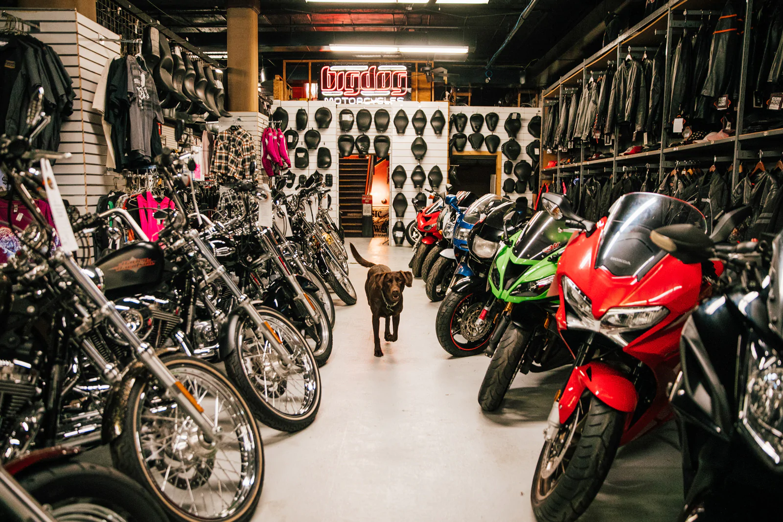 Company insurance is intended to safeguard the financial assets of a business owner and is a necessary investment for a motorbike store.