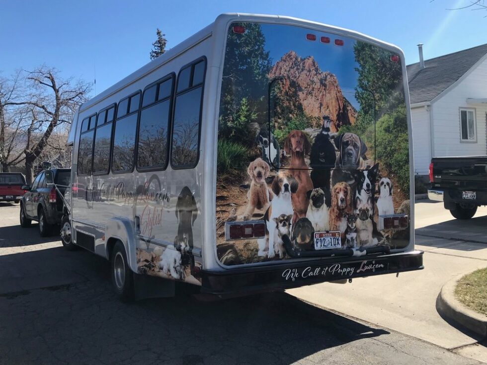 Mobile Dog Groomers Need Business Insurance
