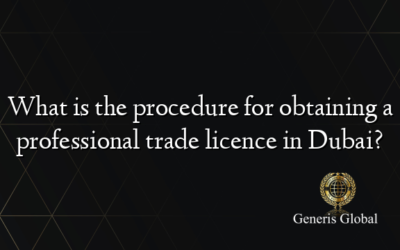 What is the procedure for obtaining a professional trade licence in Dubai?