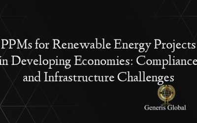 PPMs for Renewable Energy Projects in Developing Economies: Compliance and Infrastructure Challenges