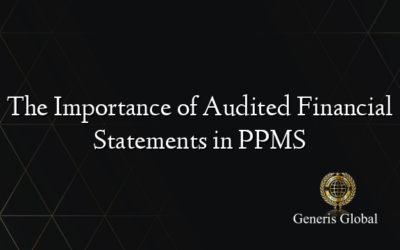 The Importance of Audited Financial Statements in PPMS