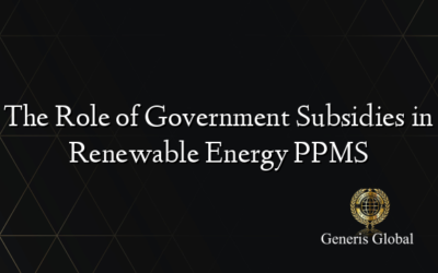 The Role of Government Subsidies in Renewable Energy PPMS