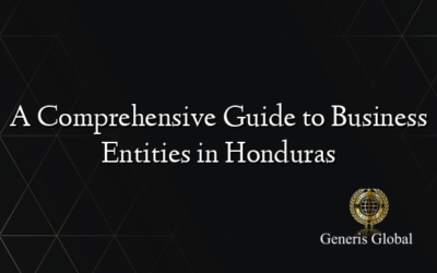 A Comprehensive Guide to Business Entities in Honduras