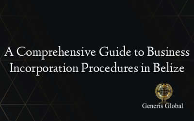 A Comprehensive Guide to Business Incorporation Procedures in Belize