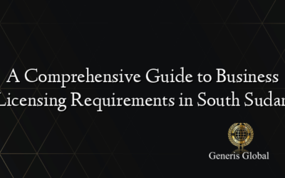 A Comprehensive Guide to Business Licensing Requirements in South Sudan