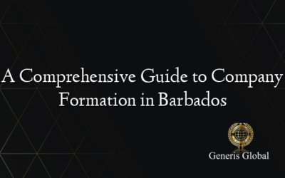 A Comprehensive Guide to Company Formation in Barbados