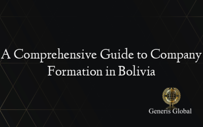 A Comprehensive Guide to Company Formation in Bolivia