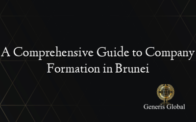 A Comprehensive Guide to Company Formation in Brunei