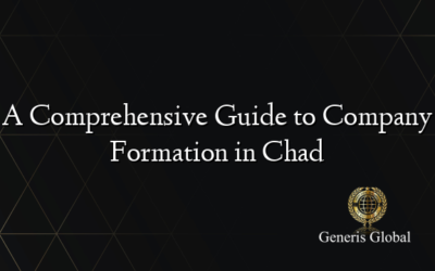 A Comprehensive Guide to Company Formation in Chad