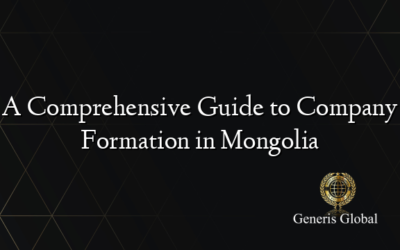 A Comprehensive Guide to Company Formation in Mongolia