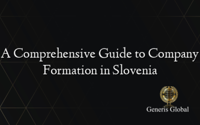 A Comprehensive Guide to Company Formation in Slovenia