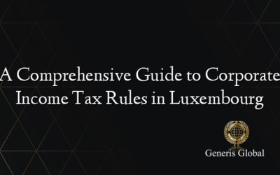 A Comprehensive Guide to Corporate Income Tax Rules in Luxembourg