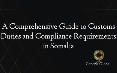 A Comprehensive Guide to Customs Duties and Compliance Requirements in Somalia