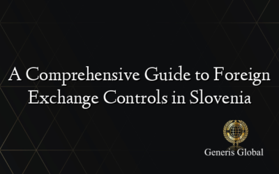 A Comprehensive Guide to Foreign Exchange Controls in Slovenia