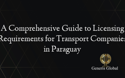 A Comprehensive Guide to Licensing Requirements for Transport Companies in Paraguay
