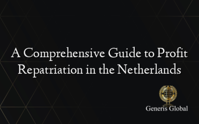 A Comprehensive Guide to Profit Repatriation in the Netherlands