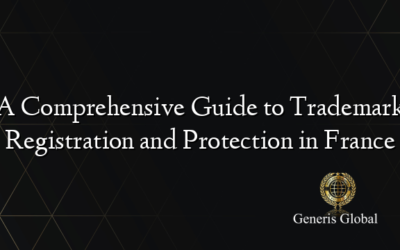 A Comprehensive Guide to Trademark Registration and Protection in France