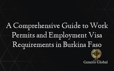 A Comprehensive Guide to Work Permits and Employment Visa Requirements in Burkina Faso