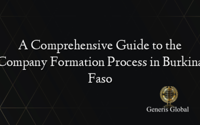 A Comprehensive Guide to the Company Formation Process in Burkina Faso