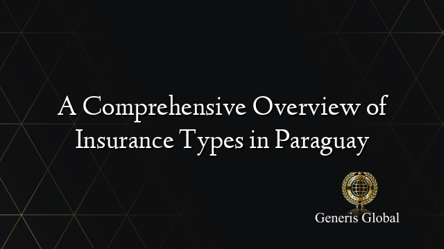 A Comprehensive Overview of Insurance Types in Paraguay