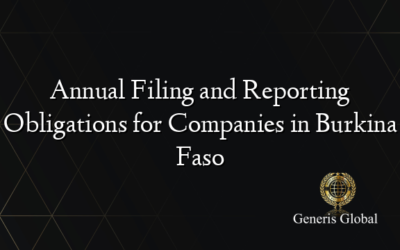 Annual Filing and Reporting Obligations for Companies in Burkina Faso