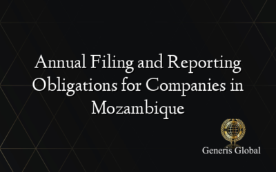 Annual Filing and Reporting Obligations for Companies in Mozambique
