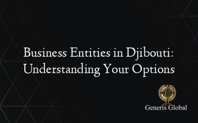 Business Entities in Djibouti: Understanding Your Options