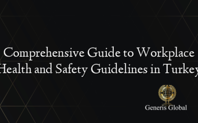 Comprehensive Guide to Workplace Health and Safety Guidelines in Turkey
