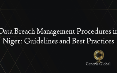 Data Breach Management Procedures in Niger: Guidelines and Best Practices