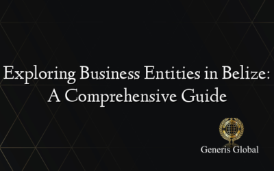 Exploring Business Entities in Belize: A Comprehensive Guide