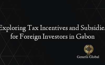 Exploring Tax Incentives and Subsidies for Foreign Investors in Gabon