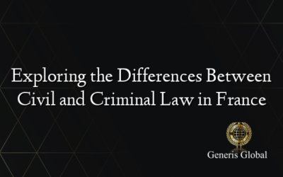 Exploring the Differences Between Civil and Criminal Law in France