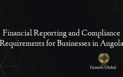 Financial Reporting and Compliance Requirements for Businesses in Angola