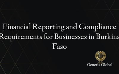 Financial Reporting and Compliance Requirements for Businesses in Burkina Faso