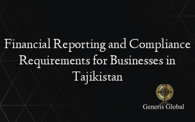 Financial Reporting and Compliance Requirements for Businesses in Tajikistan