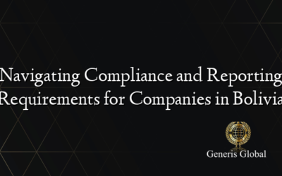 Navigating Compliance and Reporting Requirements for Companies in Bolivia