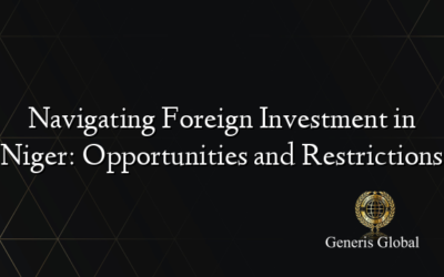 Navigating Foreign Investment in Niger: Opportunities and Restrictions